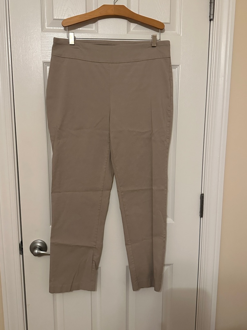 Dana Buchman Straight-Leg Pull-On Pants in Taupe